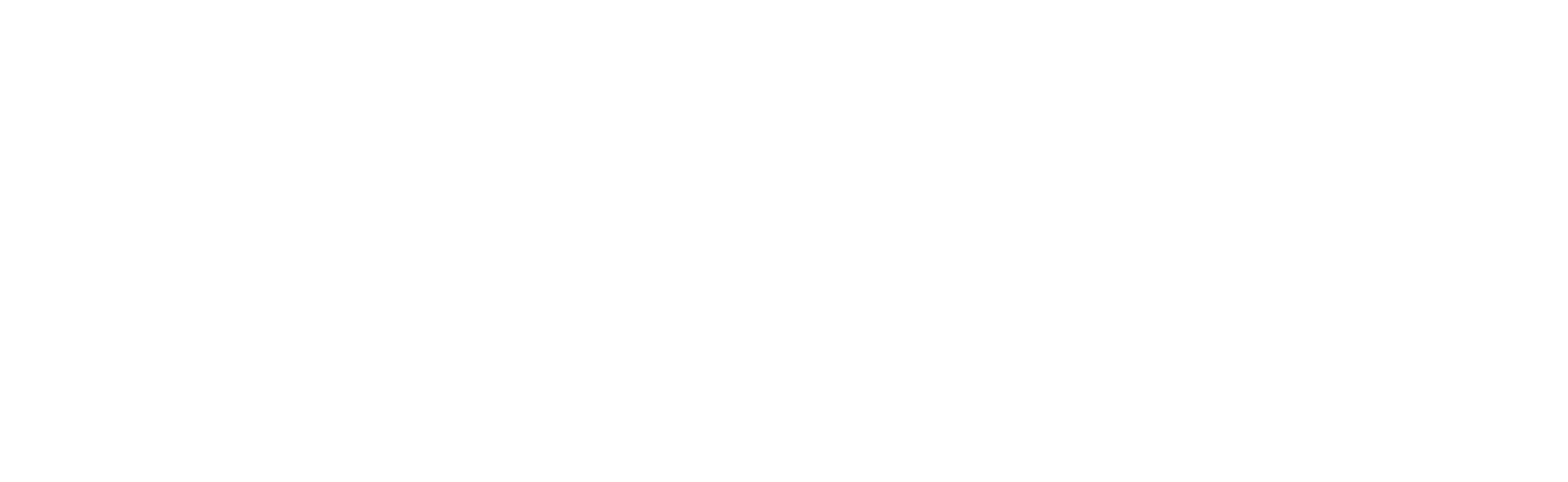 NexusPool logo, horizontal, white