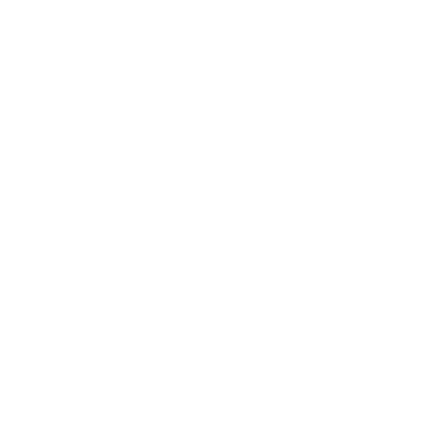 NexusPool logo, vertical, white